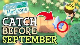 Animal Crossing New Horizons: CATCH FISH & BUGS BEFORE SEPTEMBER (August Critters You NEED To Find)