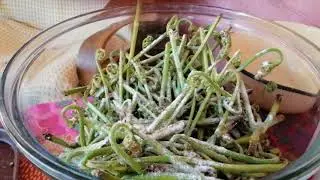 Папоротник орляк. Холодный способ засолки. Очень вкусно и полезно. 2.