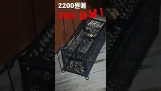 #shorts 소시지로 유인하여 쥐 잡는법