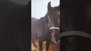 погуляли и будет... -25°С