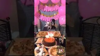 Just look how excited they were. They’re turning 3 soon so heres their first barkday. 😍 #Chihuahua