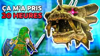 Comment j'ai appris le glitch le plus HARDCORE de Zelda Twilight Princess ?