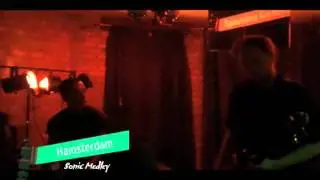 Hamsterdam @ Spaulding Gardens 9 23 11(Sonic the Hedgehog Medley)