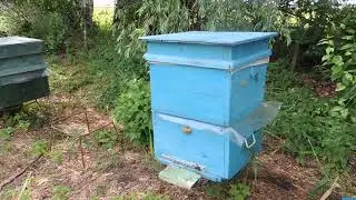 Как заселить нуклеус.