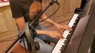 FANNY LEEB - FALLING ( acoustic version )
