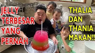 KENTA BIKIN JELLY RAKSASA SPESIAL UNTUK THALIA & THANIA ‼️