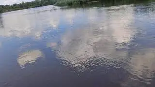 Полковница Чернигов