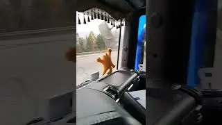город Алдан. 