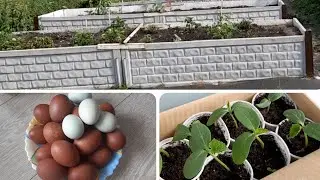 ФИНИТА ЛЯ КОМЕДИЯ 😒...Купили квартиру.