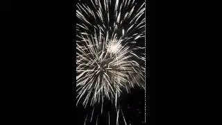 салют в парке лога