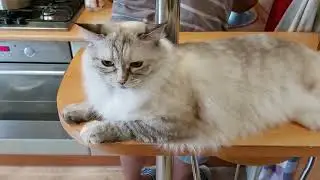 Маруська