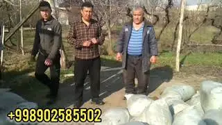 Биогумус савдоларимиз давом этяпти, 5 тонна гумусни жойидан солиб бердик