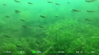 Scuba Capsule