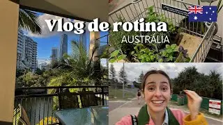 Vlog AUSTRÁLIA | Plantas, ataque de pássaro e compras pro apê