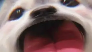 (ಥ ͜ʖಥ)