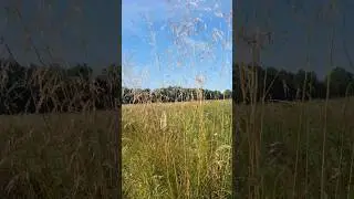 🌱 Просто красиво 🕊