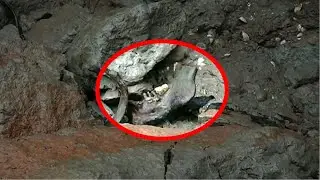 This Man Was Exploring This Abandoned Island When He Accidentally Made A Chilling Discovery