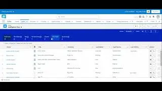 Salesforce CRM for Beginners: Navigating My Portfolio as a Virtual Assistant