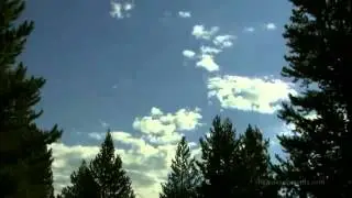 Увидеть Бога, Светлана Малова