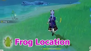 Frog Location - Genshin Impact