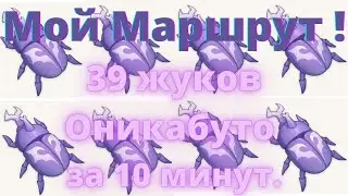 Мой маршрут! Жуки Оникабуто
