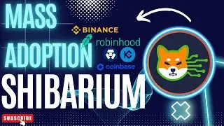 BIG CEXes ARE BUILDING LIQUIDITY POOLS FOR SHIBARIUM PER....