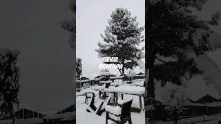 Lahaul right now ❄️ #spiti #lahual #manali #himachal #youtubeshorts #trending @AllAboutAllmj