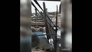 2 декабря 2022 г.