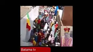 batama vile