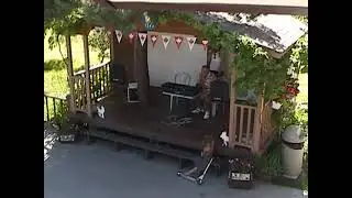 Mario Viskovic - Piknik