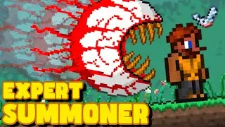 Learning Terraria All Over Again | Terraria Expert Summoner Playthrough
