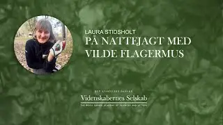 Laura Stidsholt - På nattejagt med vilde flagermus