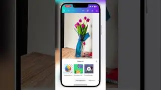 Искусственный интеллект в Canva (замена и трансформация изображения) | 