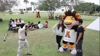 Harlem Shake (Anáhuac Mayab)