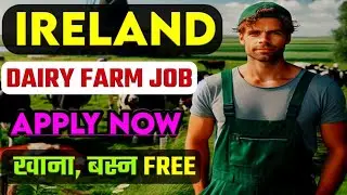 How to apply Ireland Dairy Farm worker|Dairy farm worker|Jobs in Ireland|Work visa|work permit