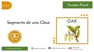 Terapia Floral Bach .Clase de la Flor OAK