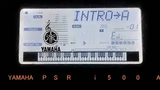 YAMAHA psr i500 | all 5 children style demo with intro and ending