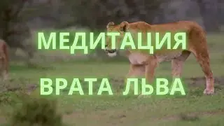 Lion's Gate 26.07-12.08 2022
