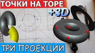 ТОР и три проекции точек на его поверхности. Недостающие проекции точек на поверхности тора.