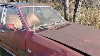 My New 1981 Escort GL Wagon!