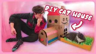Building A House For My Cat