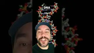 Genética - DNA #shorts  #ciencias #curiosidade #genética #dna