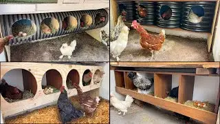 Unusual Ideas | Chicken Nestles Made of Corrugated Pipe and Wood