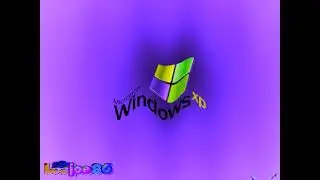 Microsoft Windows XP - 