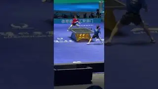 WTF 🤷🏻‍♂️