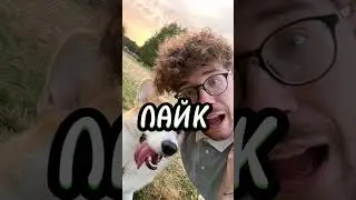 С КЕМ ПРОВЕДЕШЬ 24 ЧАСА?? #влада4 #владбумага #глент #чикенган