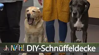 oh NÄH! – DIY-Schnüffelteppich für Hunde nähen - Teil 1 (Aufz. v. 25.02.2022)