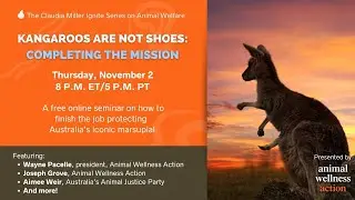 Kangaroos Are Not Shoes: Completing the Mission