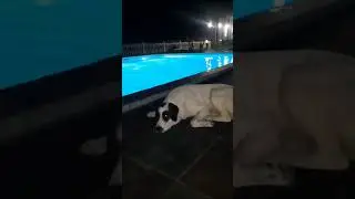 новый Афон.