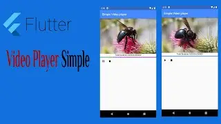23- Flutter Simple Video Player